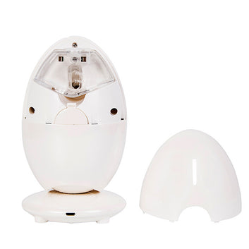 Facial cold spray steam beauty instrument